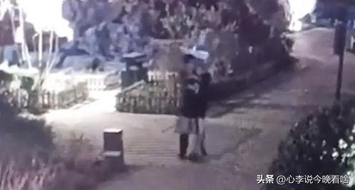 南宁滑板吃瓜事件视频播放,网络热议背后的真相揭秘