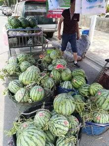 山东新沂吃瓜事件视频,一场引发热议的街头冲突瞬间