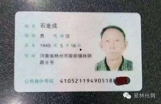 林州吃瓜新闻视频最新一期,揭秘本期热点事件背后的真相