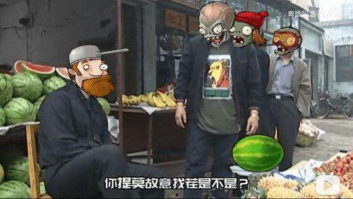 吃瓜视频搞笑游戏叫什么,揭秘“吃瓜视频搞笑游戏”的欢乐奥秘
