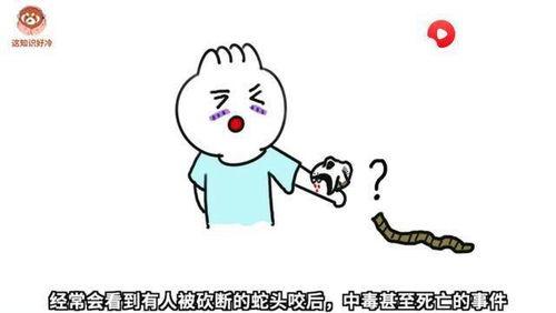 吃瓜咬人搞笑视频,吃瓜咬人搞笑视频，笑料横生，欢乐无限