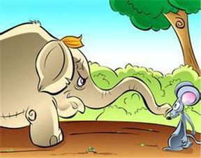 小老鼠吃瓜视频大全下载