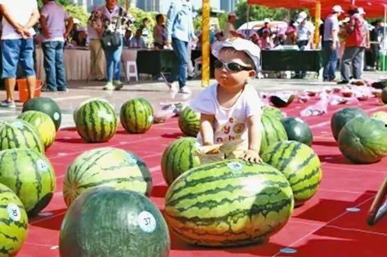 龙泉吃瓜事件视频播放下载