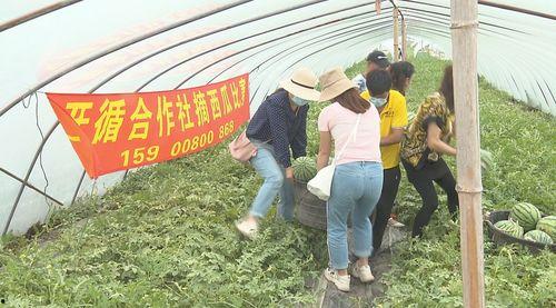 馆陶县吃瓜群众是谁啊视频,揭秘馆陶县“吃瓜群众”现象背后的故事