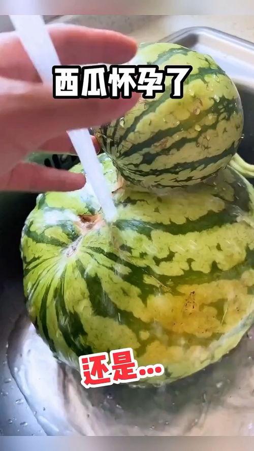 一口吃瓜搞笑视频大全