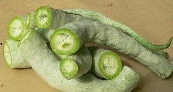 孩子吃蛇瓜的危害视频,家长必看