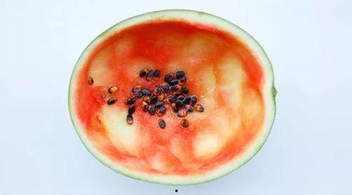 吃瓜的勺子可以干嘛呢视频,多功能神器，轻松应对生活小困扰