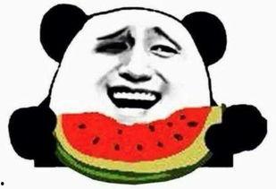 接亲大哥楼下吃瓜视频大全,趣味视频大全集锦