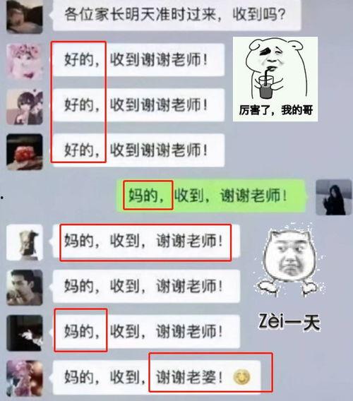 吃瓜群最新消息今天视频,今日视频揭秘惊人内幕！”