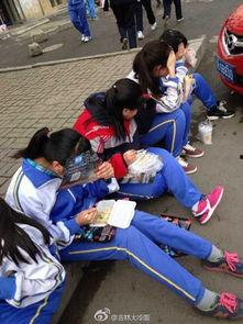 马路边吃野瓜视频大全集,视频大全集带你领略自然美味