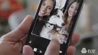 猫狗吃瓜现场视频大全,萌宠版“娱乐圈”大揭秘