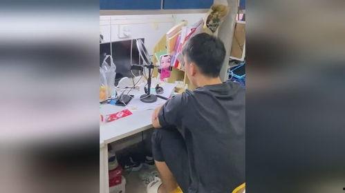 宿舍吃瓜视频完整版,视频完整版背后的故事与笑料