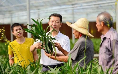 大名县吃瓜新闻事件视频,一场引发热议的乡村奇闻录