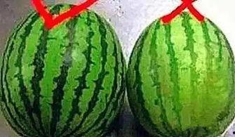 瓜怎么热着吃才好吃视频,热食秘籍大公开