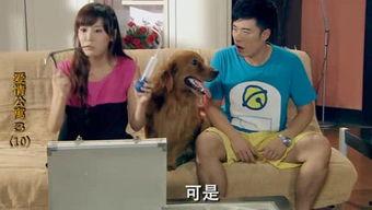 吃瓜搞笑萌妹视频大全,笑料连连，萌态十足！