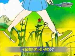 吃瓜视频儿童故事,儿童故事中的智慧与成长