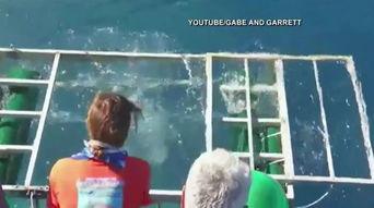 吃瓜大白视频在线播放网站,热门视频在线播放网站的独特魅力