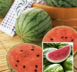 西北人喜欢吃沙瓜吗视频,探寻沙瓜在西北地区的独特魅力