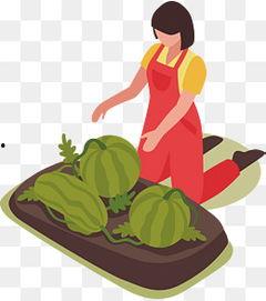 吵架吃瓜的视频素材大全,吵架视频素材大全盘点