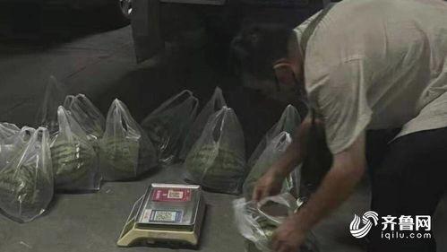 山东现代吃瓜事件视频,一场网络热议的围观与反思