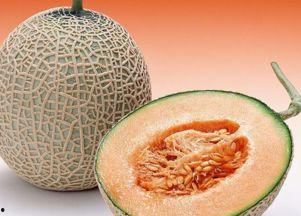 美伢吃哈密瓜好吗视频,美味分享与营养解析