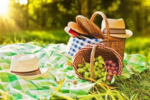 野餐兔网红吃瓜视频,揭秘娱乐圈幕后真相