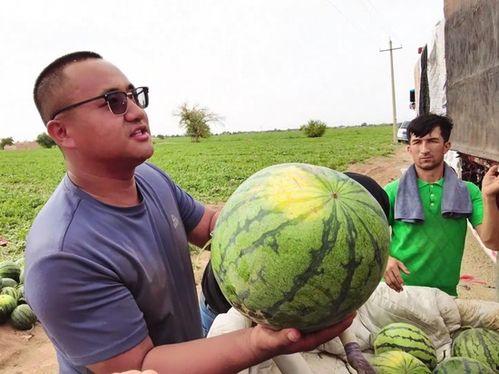 西宁吃瓜大爷视频大全,视频里的市井百态与人间烟火