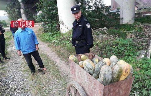 固安益禾堂吃瓜事件视频