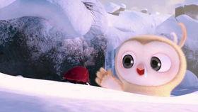 吃瓜吃到头上搞笑视频,笑料百出！搞笑视频盘点