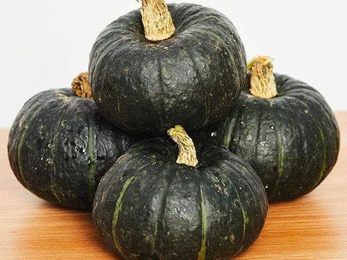 宝宝吃贝贝瓜视频大全