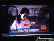 阿达吃瓜视频在线播放