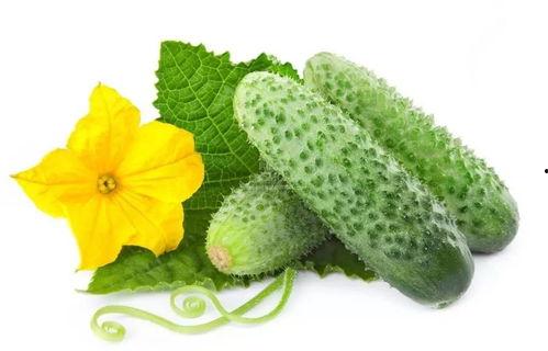 华妃吃酸瓜怀孕视频